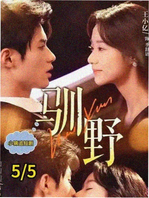 字幕资料更新资讯